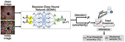 Failure Detection in Deep Neural Networks for Medical Imaging